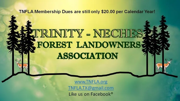 Trinity Neches logo