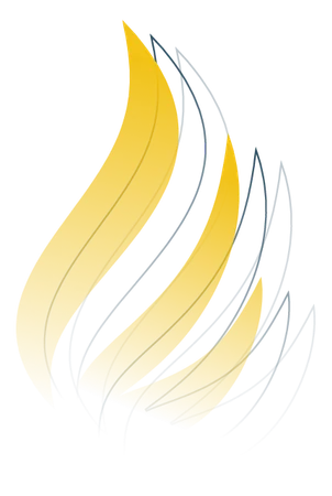 Larson Financial Group, LLC logo