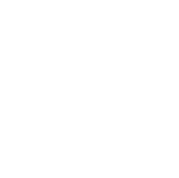 Paragon Financial Services logo