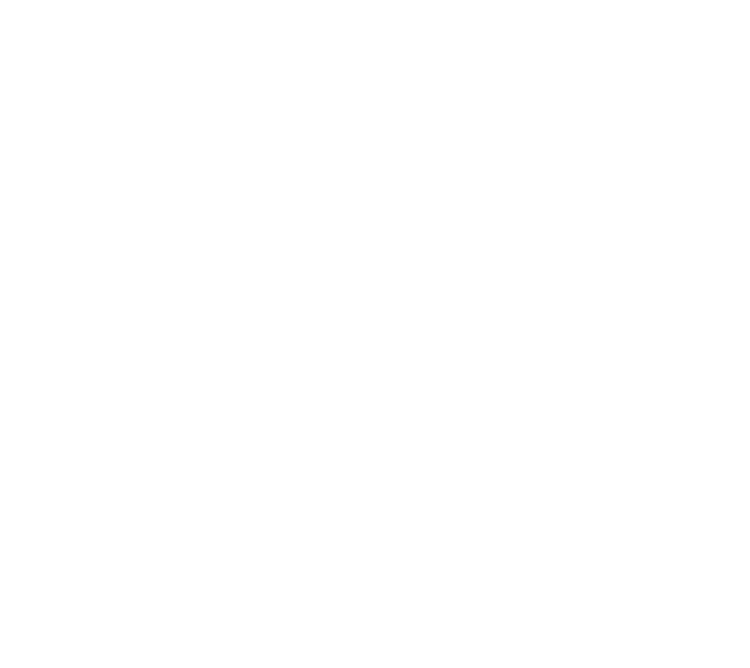Blue Marble Investments logo