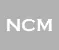 Newbury Capital Management, LLC logo