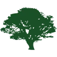 Acorn Wealth Advisors, LLC logo