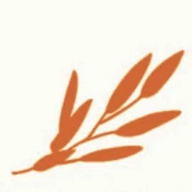 Sage Hill Capital logo
