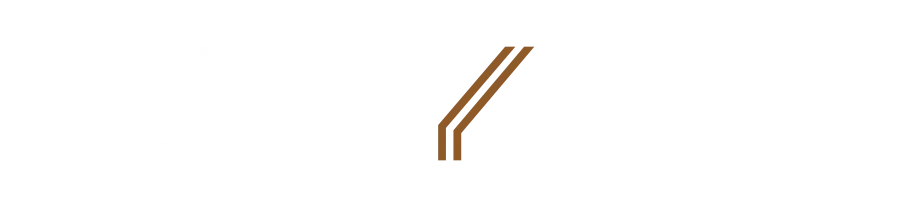 Styre Wealth logo