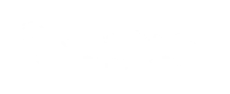 Skibek Wealth Management logo