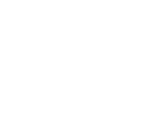 Brazos Wealth Advisors LLC logo