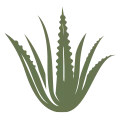 Money Advisors, Inc. DBA Century Investment Planning logo