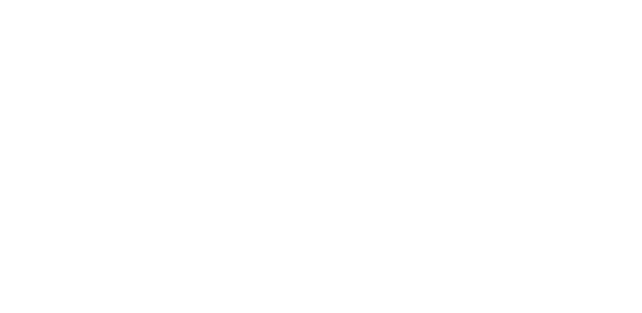 Meridian Investment Advisors, Inc. logo