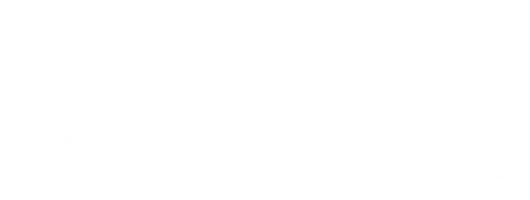 Delta Advisory Group, Inc. logo