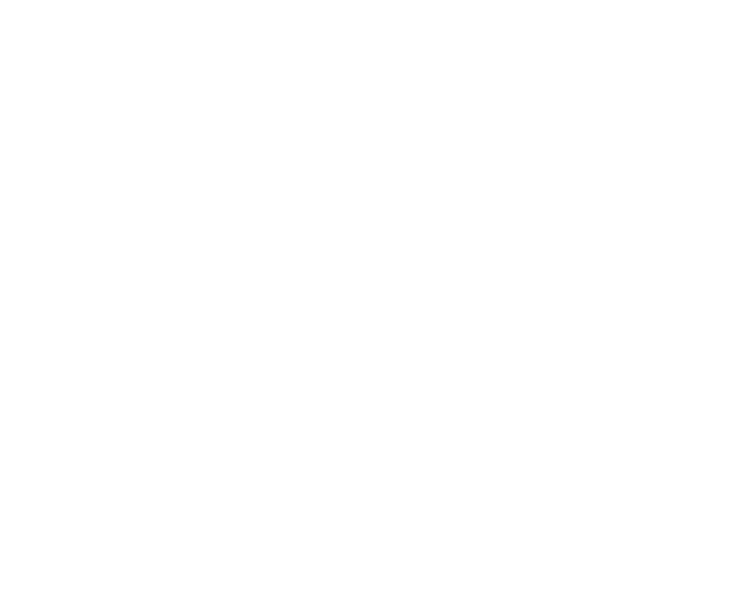 Chatham Capital Group INC logo