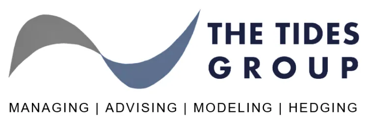 THE Tides Group logo