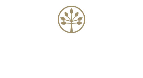 MD Wealth Advisors INC logo