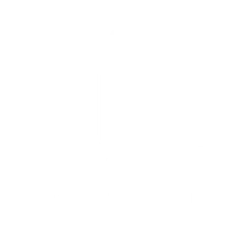 Stirling Financial Group logo