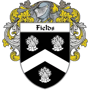 D.l. Fields Advisory Group, LLC logo