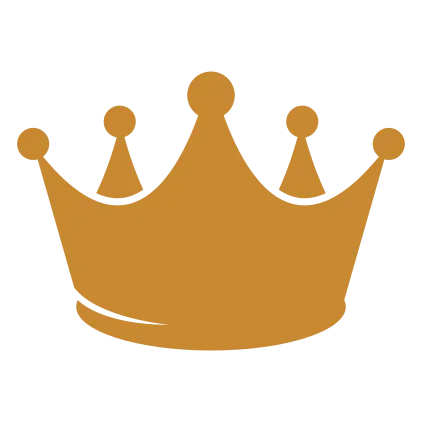 Seek First Inc. logo