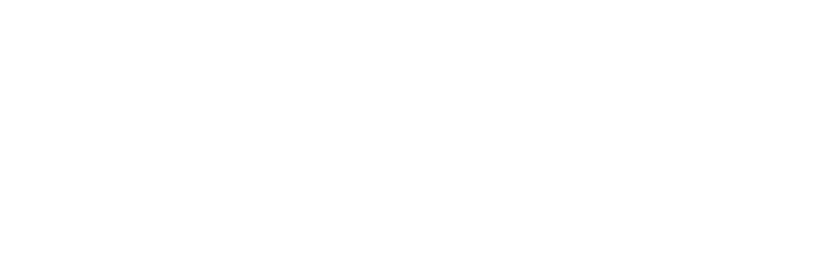 NIM Wealth Solutions logo