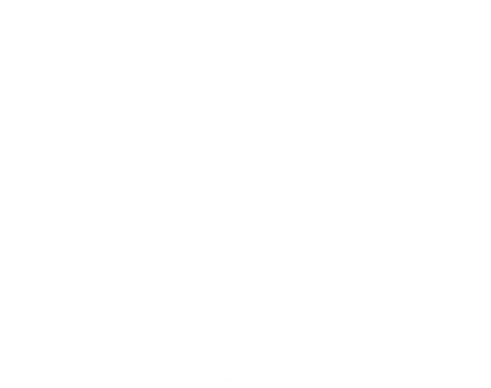 Geovest Advisors INC logo