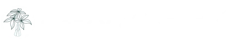 Money Illustrated Advisory Services logo