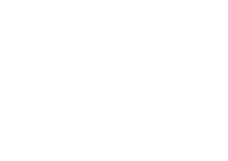 Islandbridge Capital Limited logo