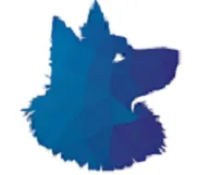Shetland Financial, Pllc logo