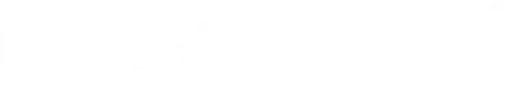 Nexwealth LLC logo