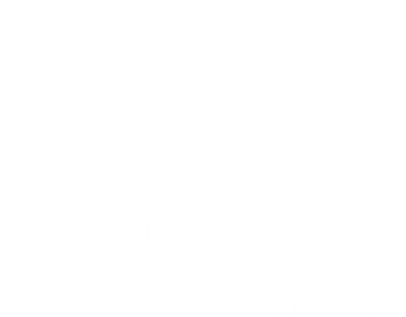 Wealth Solutions, Inc. logo