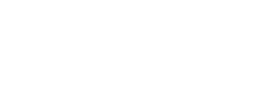 Pegasus Investment Management LLC logo