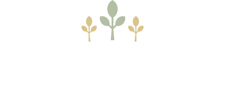 Parkwoods Wealth Partners, LLC logo