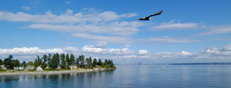 Eagle Harbor Asset Management, Inc. logo