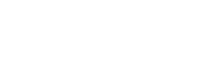 Wisdom Wealth Strategies logo
