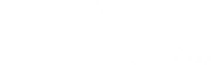 TRI-AD Capital Management I, LLC logo