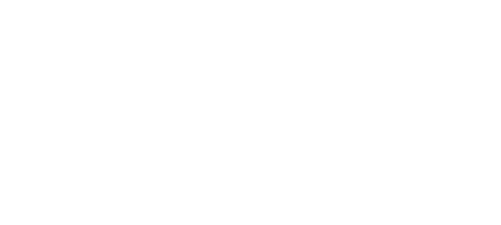 Baer Investment Advisory LLC logo