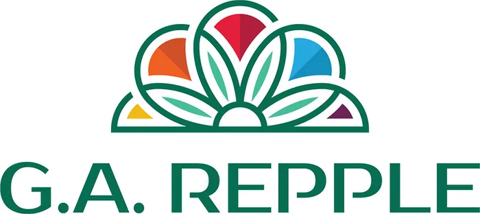 GLENN ALLEN REPPLE