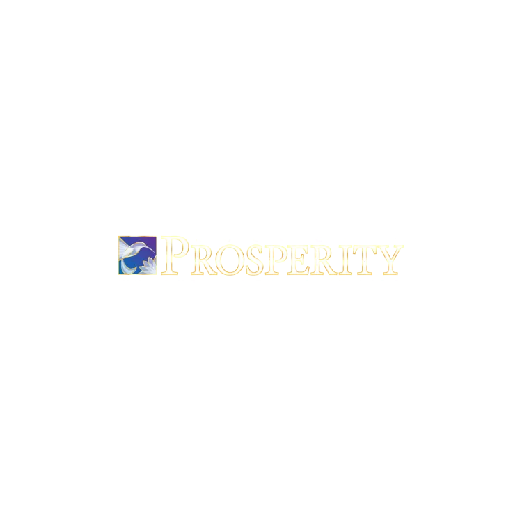 Holy City Prosperity, LLC logo