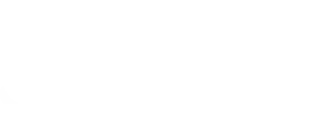 THE Salvetti Group logo