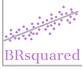 Brsquared L.l.c. logo