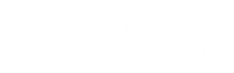 Gajardo Wealth Management LLC logo