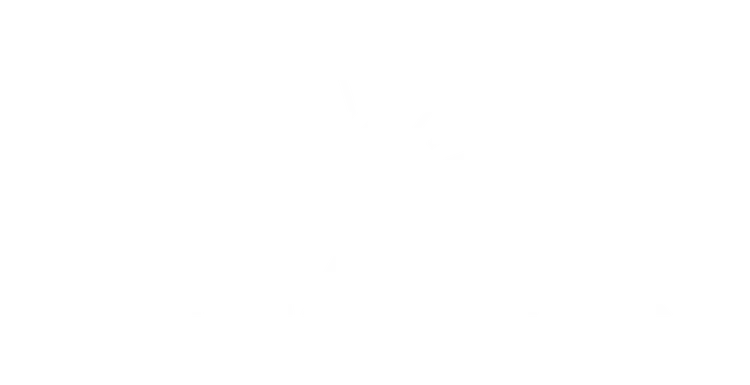 Almanack Investment Partners logo