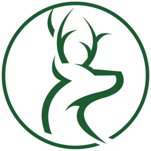 Davidson & Watson Financial logo