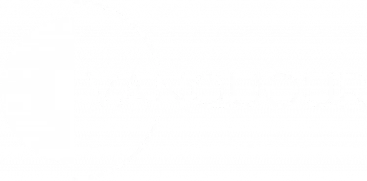 Vanquour LLC logo