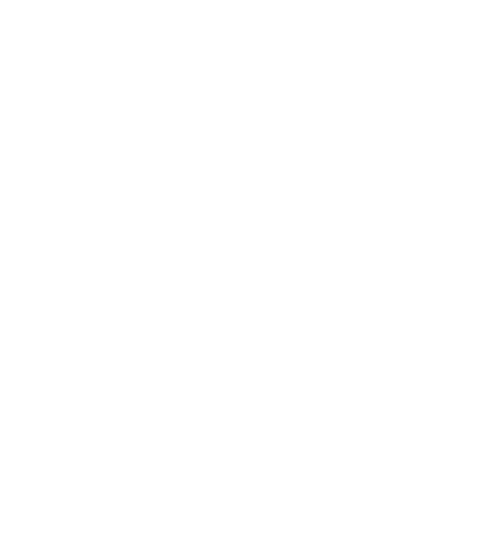 Fyvie Financial LLC logo