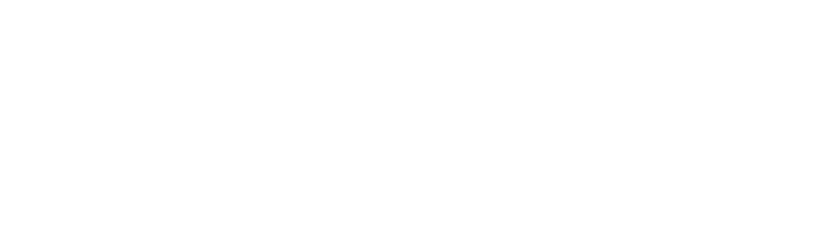 Lindsey Wealth Management logo