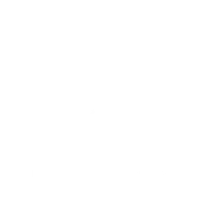 Great Lakes Financial Strategies, LLC logo