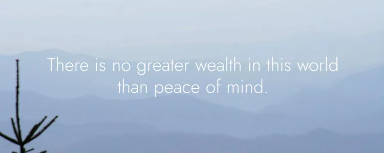 Pine Ridge Wealth LLC logo