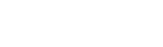 Welon Partners logo