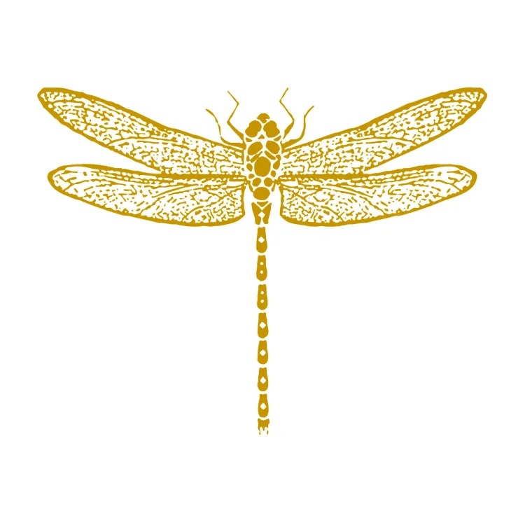 T.h. Rapko & Company, LLC logo