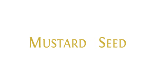 Mustard Seed Financial logo
