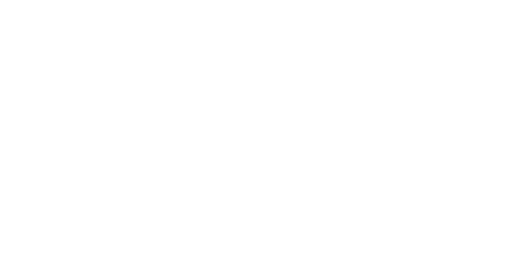 Chisholm Wealth Management logo