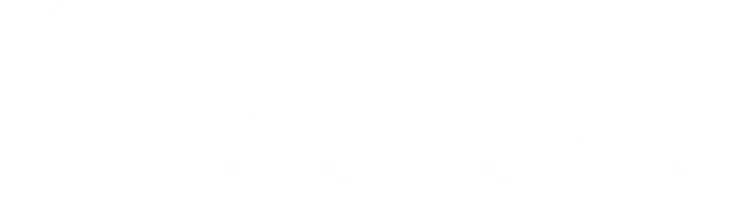 Paladin Retirement Advisors logo