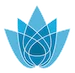 Blue Spark Capital Advisors logo